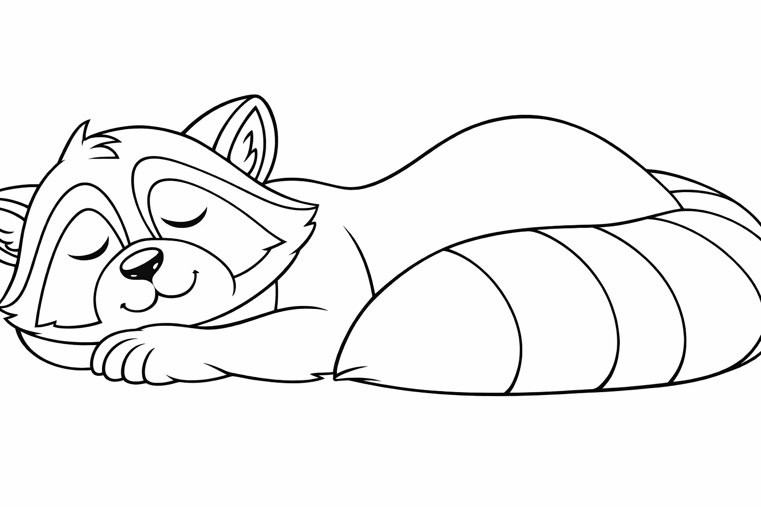 Character Study — Renfrew the Racoon | Karen Gillmore Art, image size:1536x1024